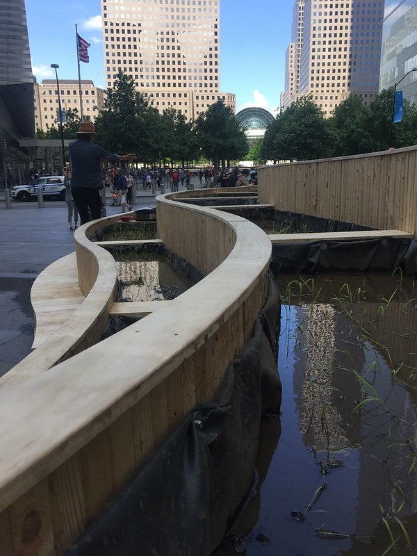 The rice paddy installation at the World Trade Center's Oculus Plaza