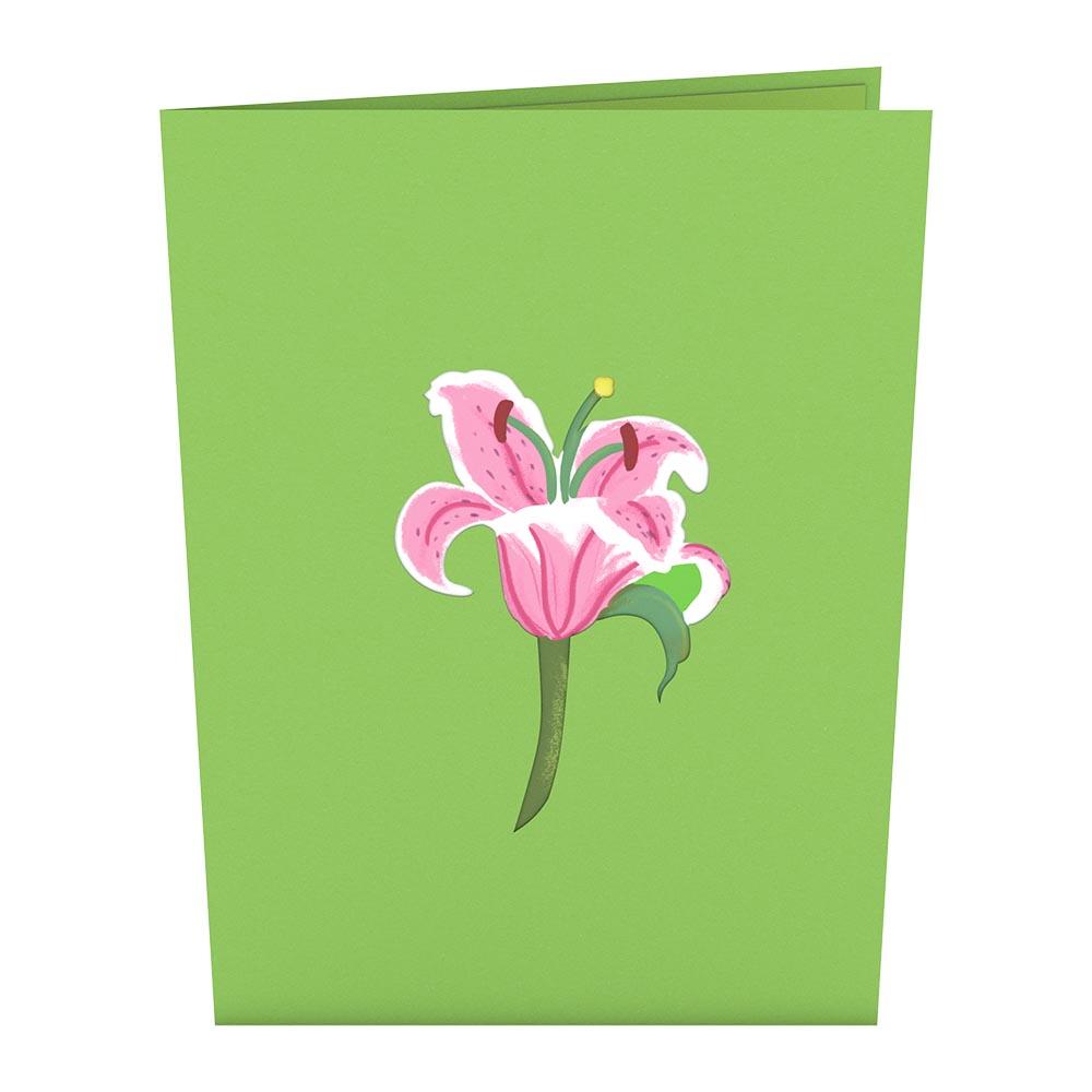 Pop-Up Card: Lily Bloom