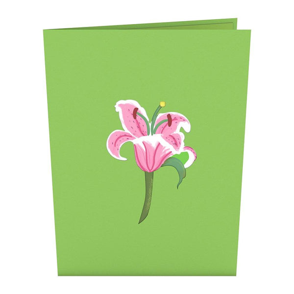 Exterior of green card with pink lily design